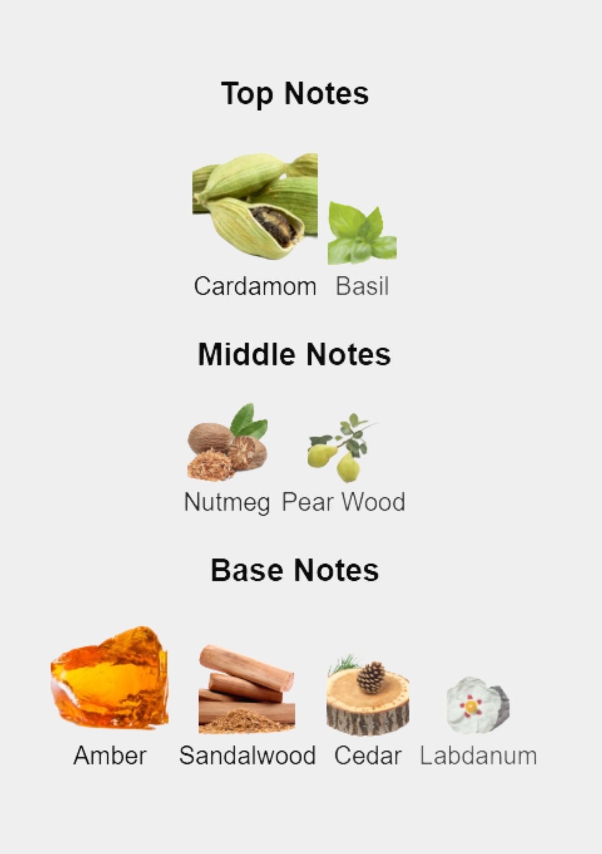 Dolce & Gabbana The One Royal Night for Men EDP 100mL