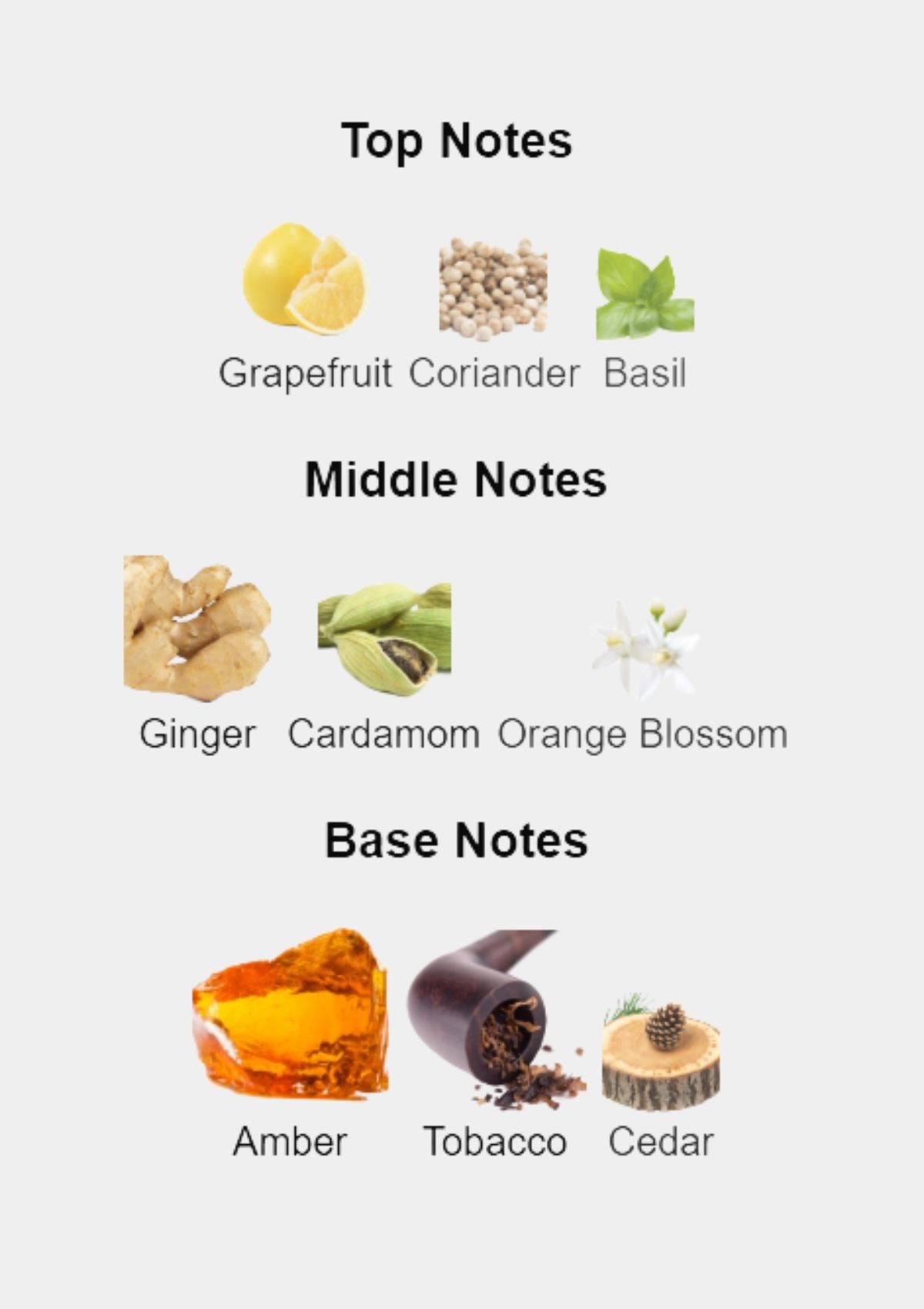 Dolce & Gabbana The One for Men EDT 150mL