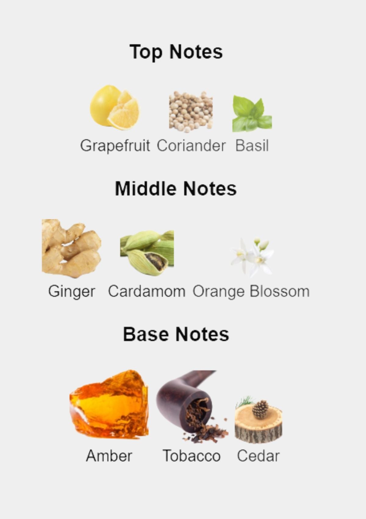 Dolce & Gabbana The One for Women EDP 75mL