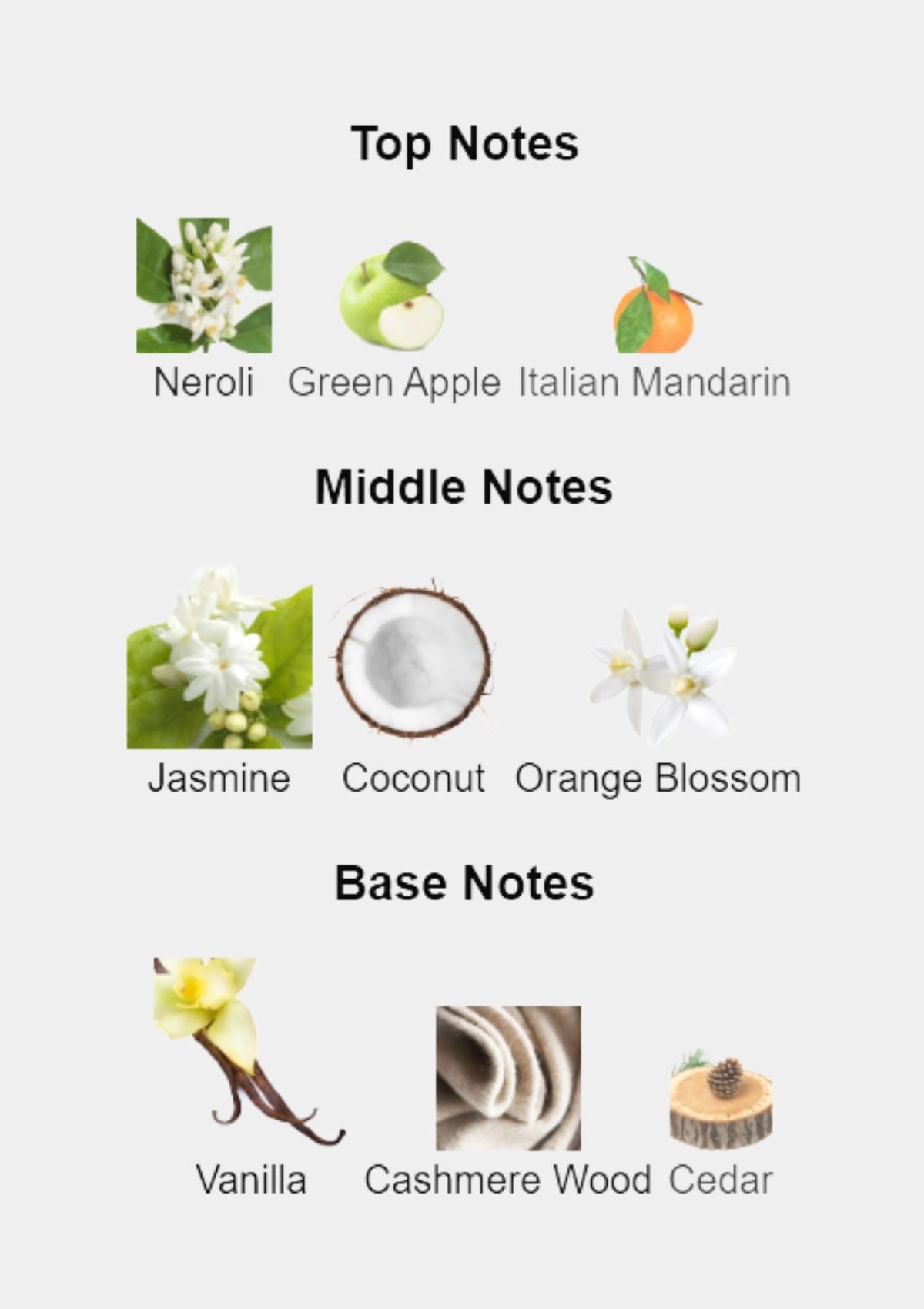 Dolce & Gabbana The Only One Intense for Women EDP 50mL