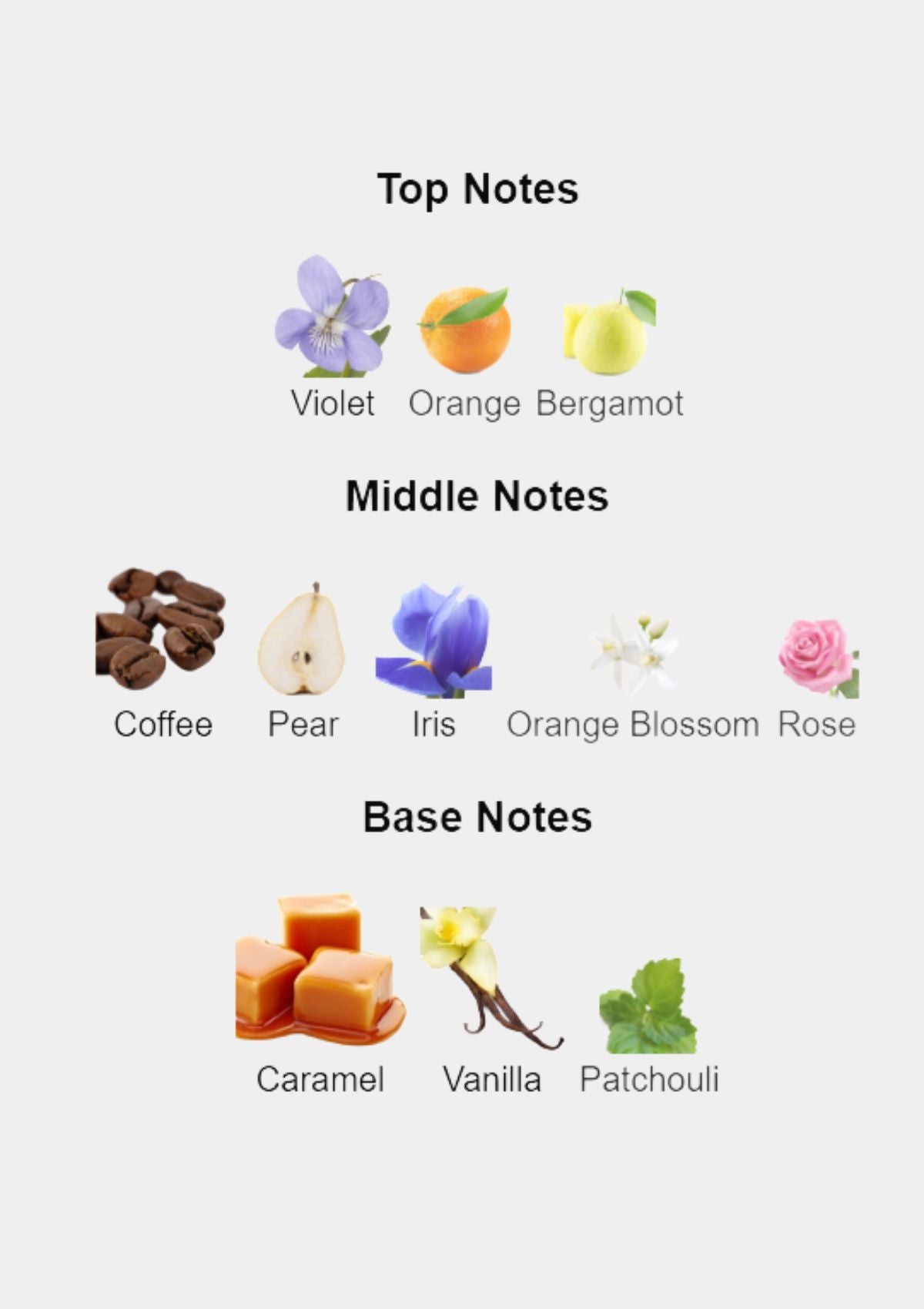 Dolce & Gabbana The Only One for Women EDP 100mL