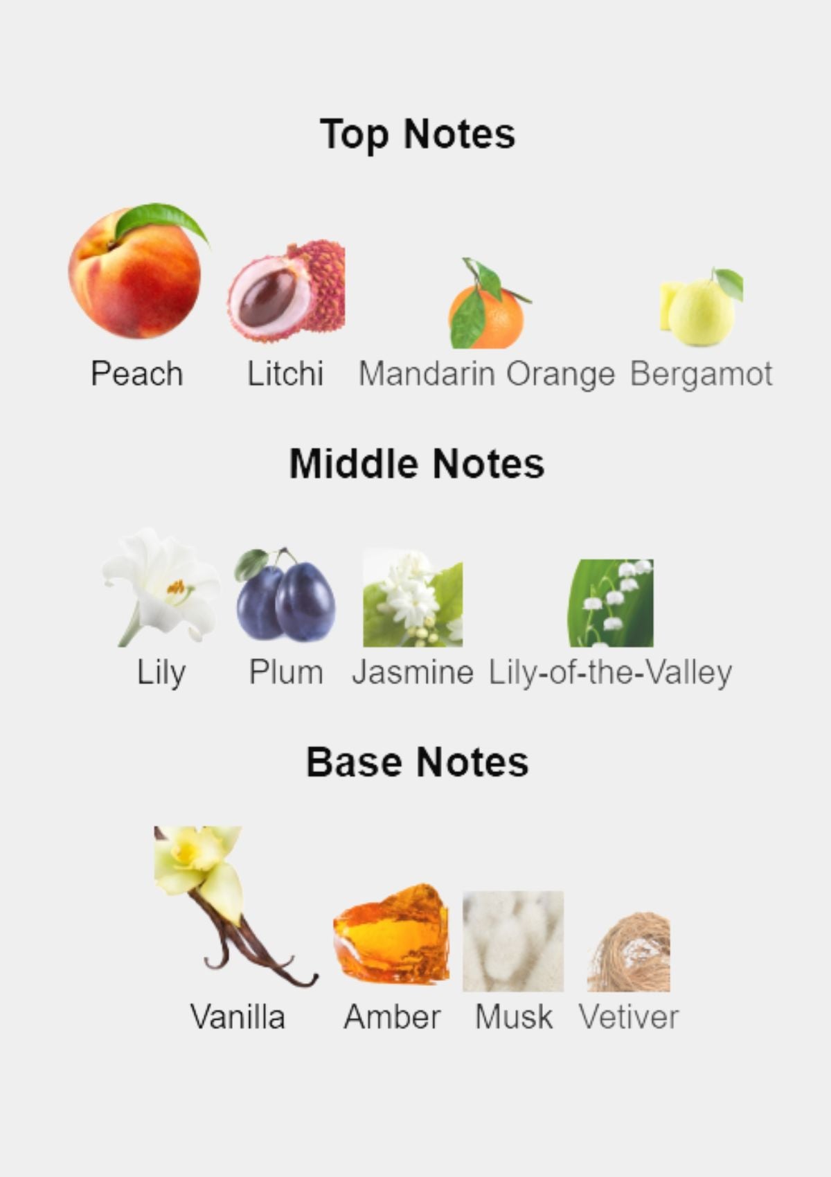 Dolce & Gabbana The One for Women EDP 75mL