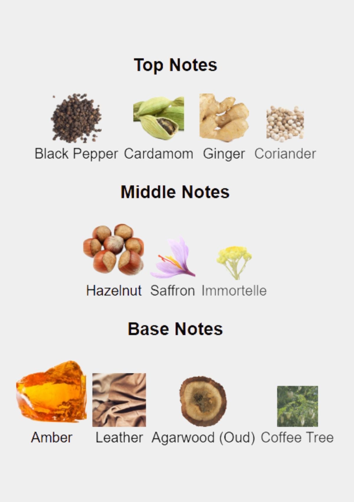 Dunhill Moroccan Amber for Men EDP 100mL