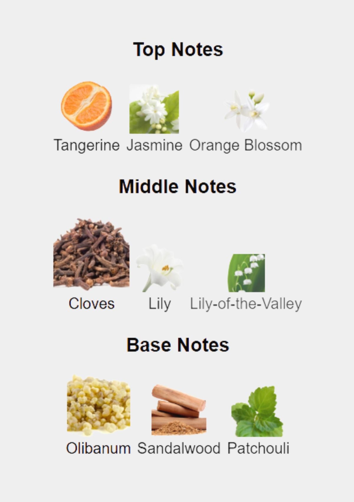 Estee Lauder Cinnabar for Women EDP 50mL