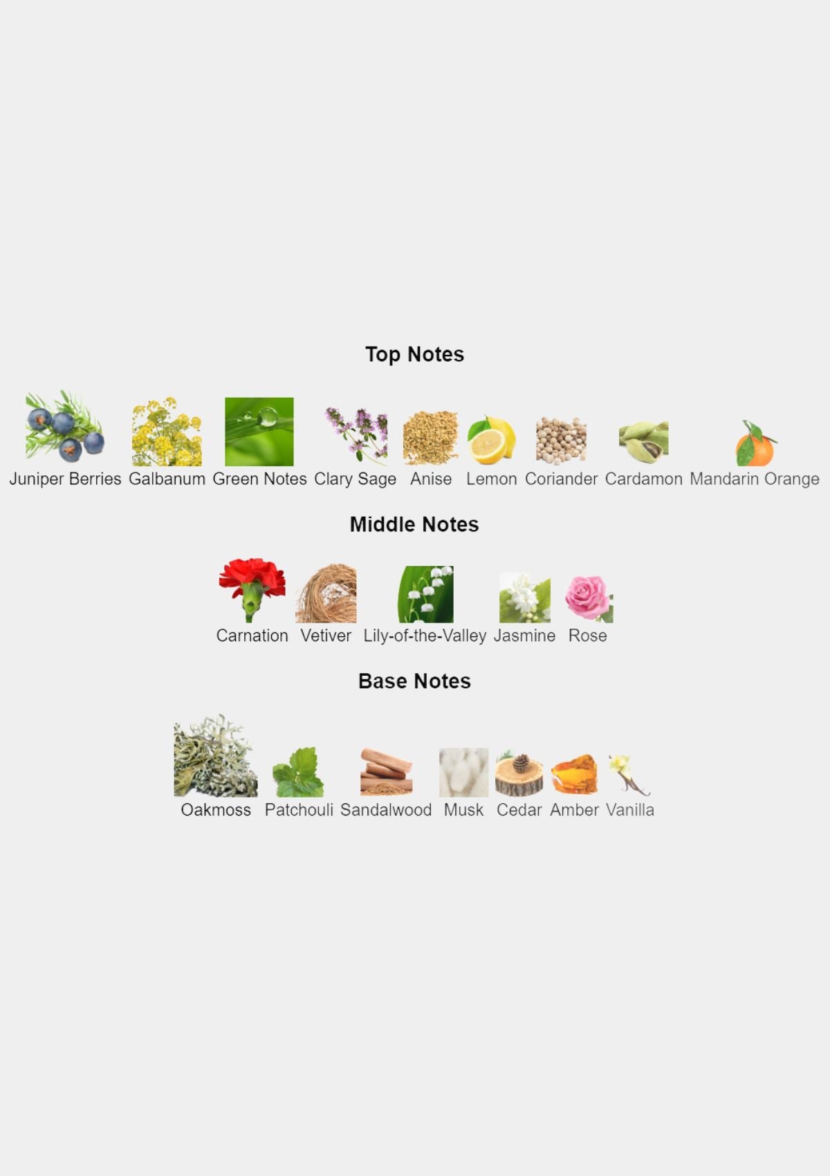 Estee Lauder Lauder for Men EDC 100mL