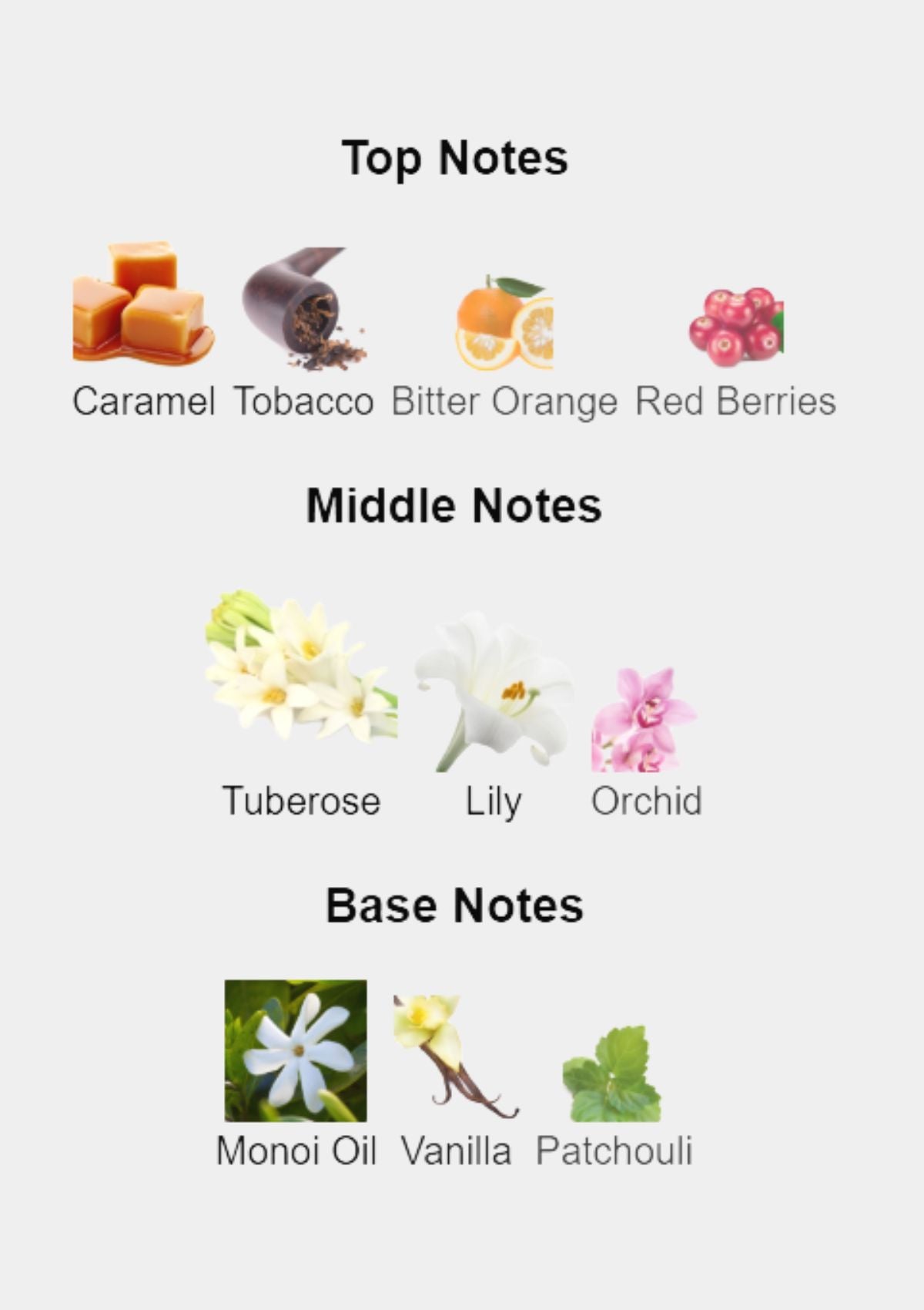 Franck Boclet Cocaine Extrait de Parfum for Unisex 100mL