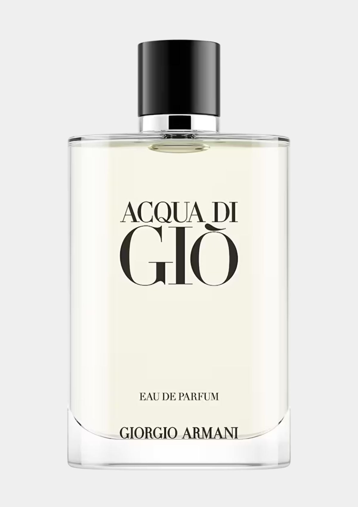 Giorgio Armani Acqua Di Gio for Men EDP 100mL