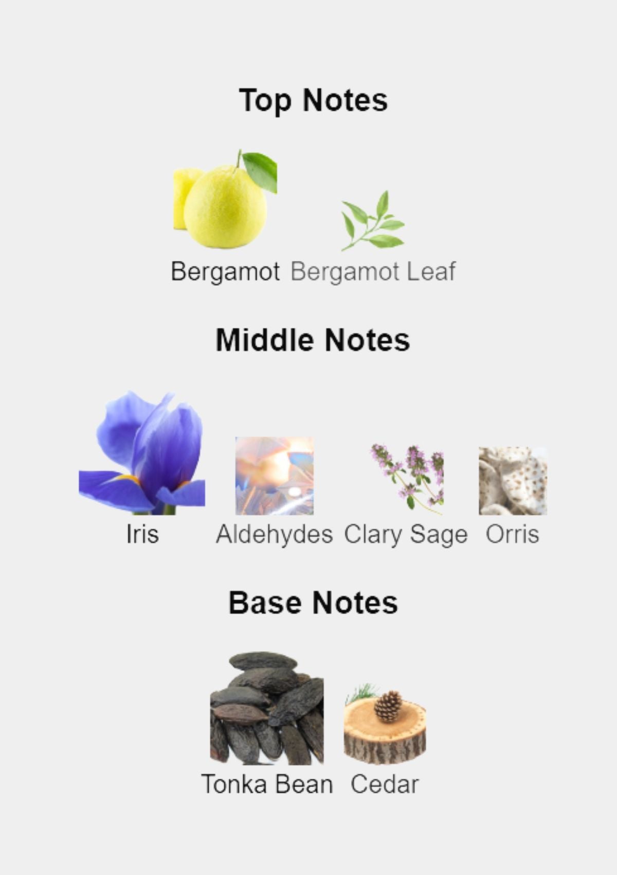 Giorgio Armani Armani Code Parfum for Men 75mL