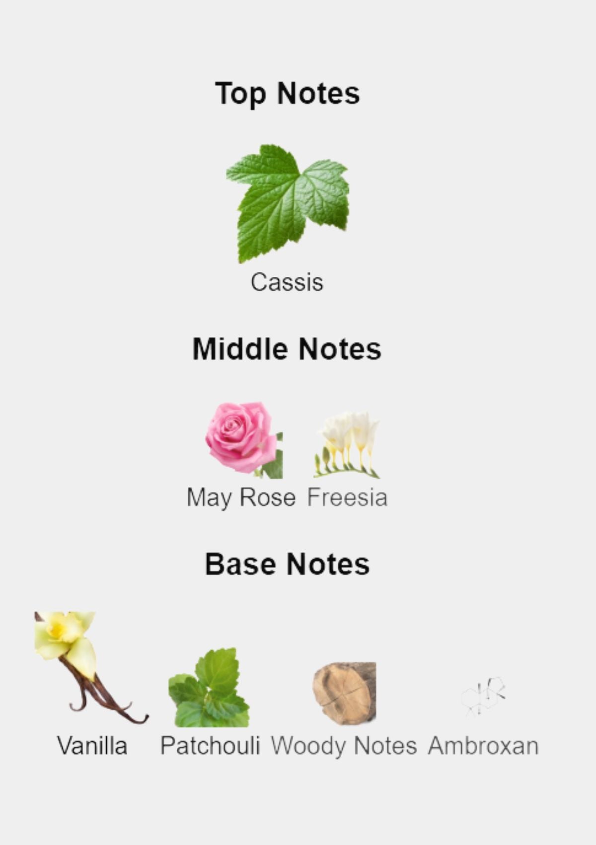 Giorgio Armani Si for Women EDP 100mL