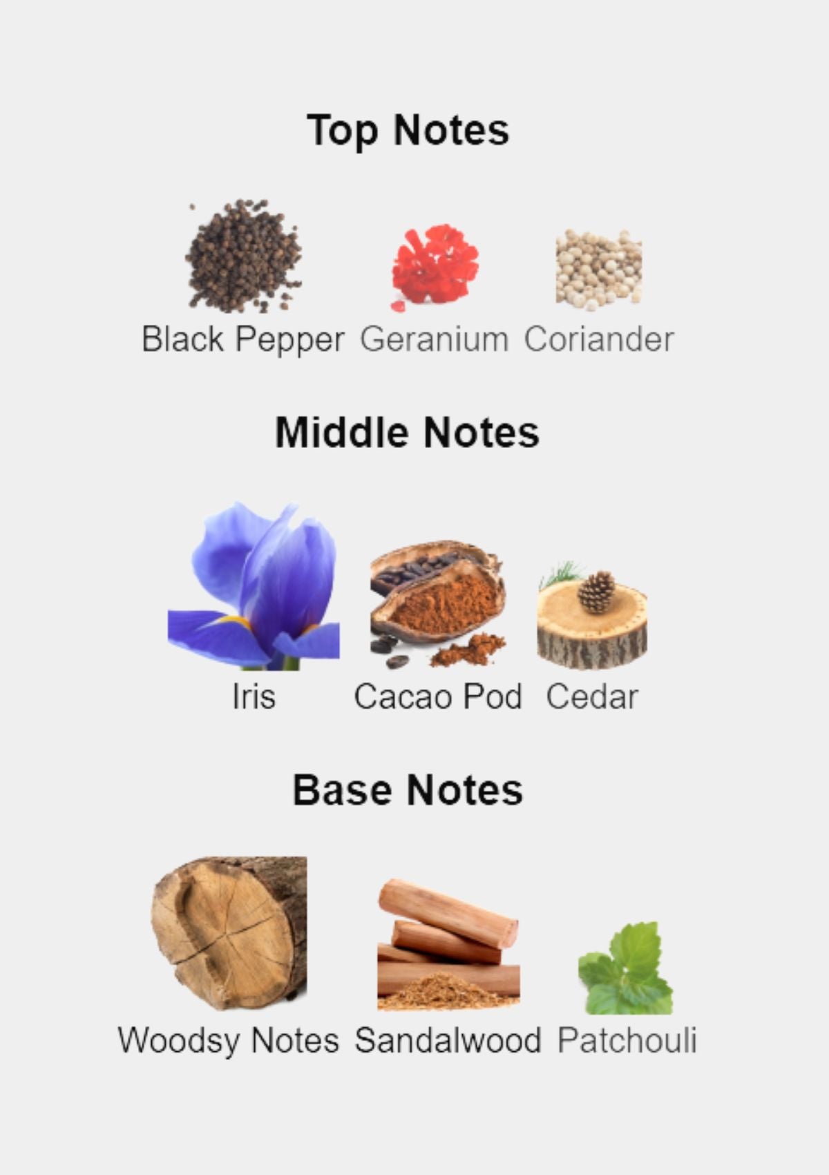 Givenchy Gentleman Boisee for Men EDP 100mL