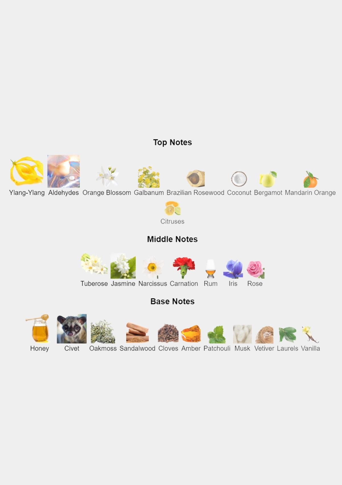 Givenchy Ysatis for Women EDT 100mL