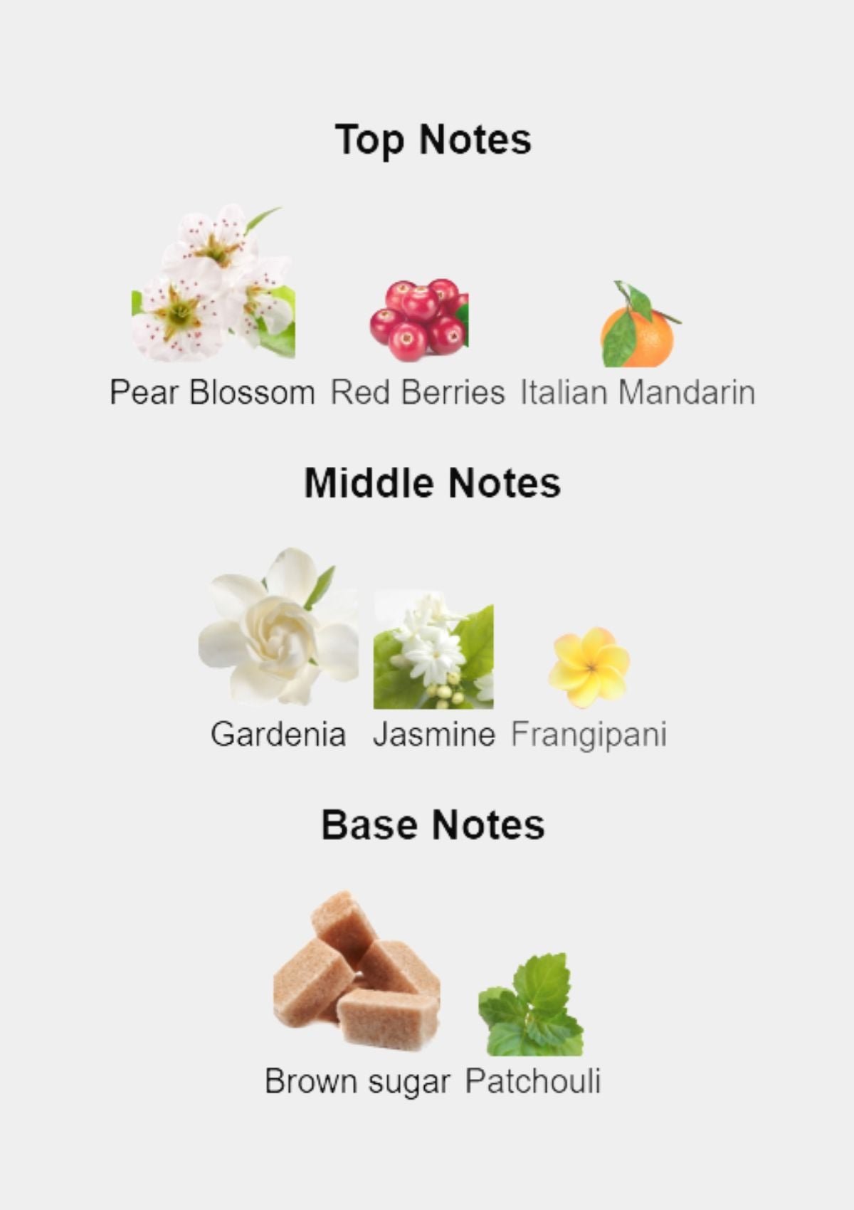 Gucci Flora Gorgeous Gardenia for Women EDP 100mL