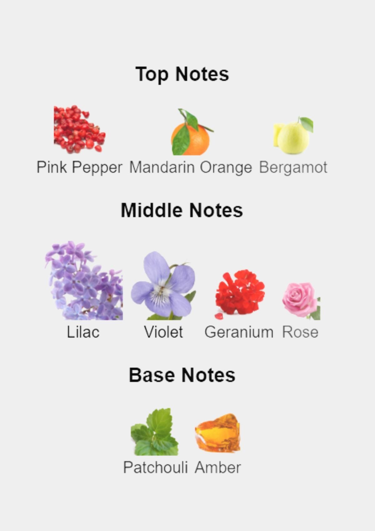 Gucci Guilty Pour Femme for Women EDP 90mL