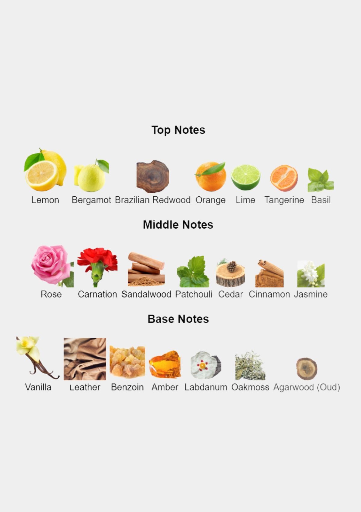 Guerlain Habit Rouge for Men EDP 100mL