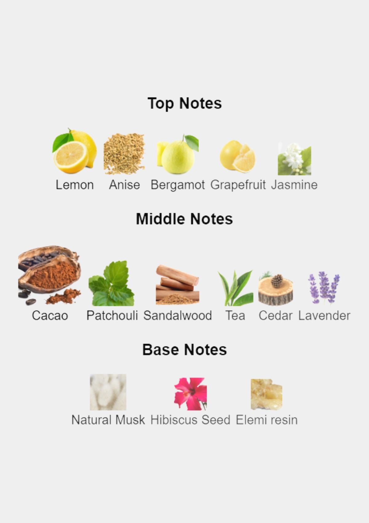 Guerlain L'Instant de Guerlain Pour Homme for Men EDP 100mL