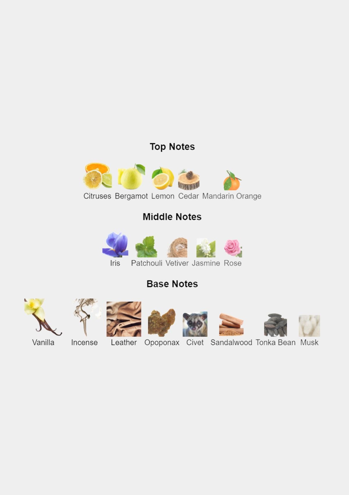 Guerlain Shalimar for Women EDP 50mL