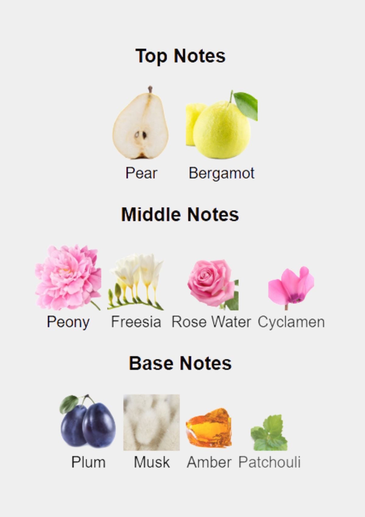 Guess Seductive Blue for Women EDT 75mL