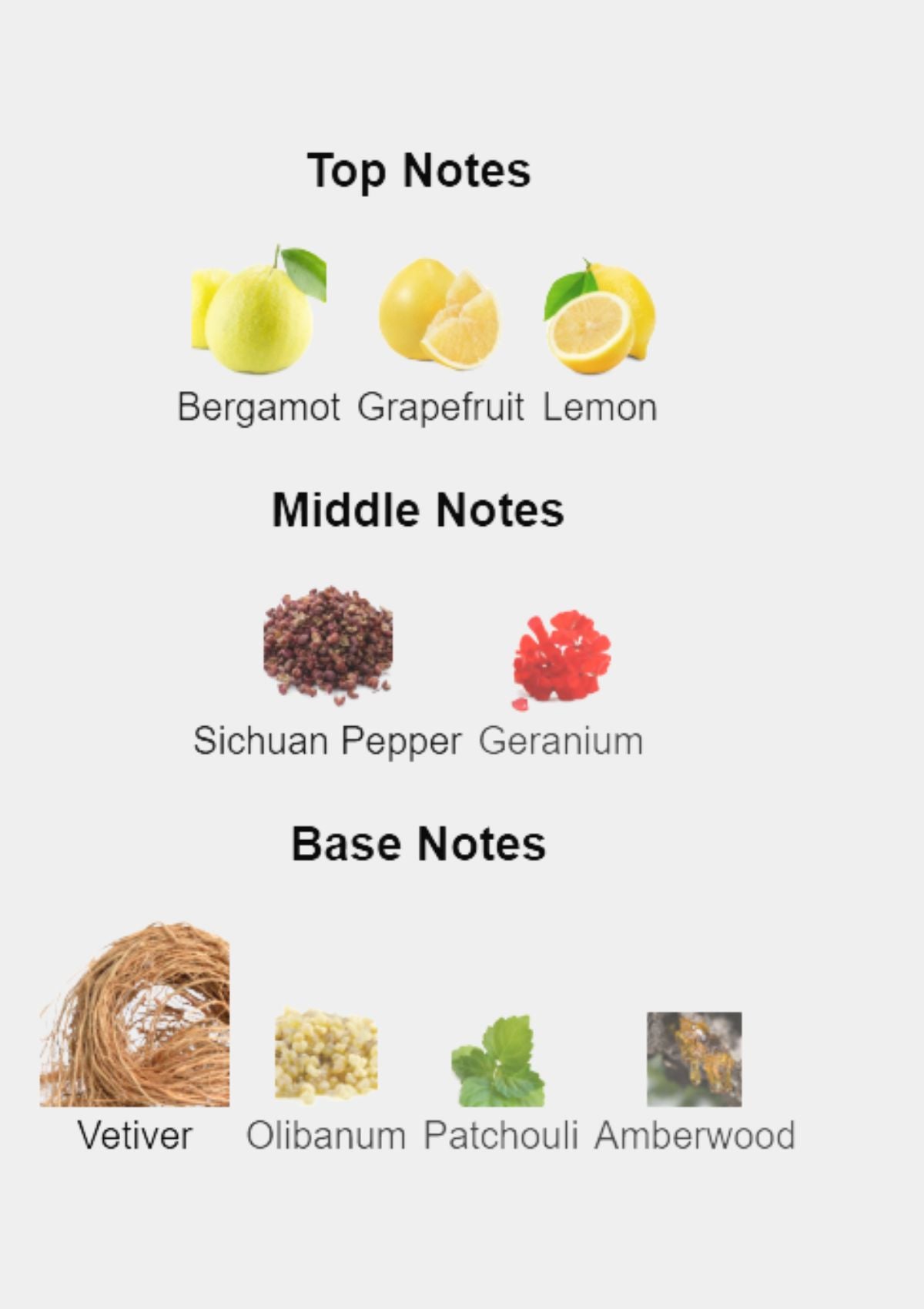 Hermes Terre D'Hermes Eau Intense Vetiver for Men EDP 100mL