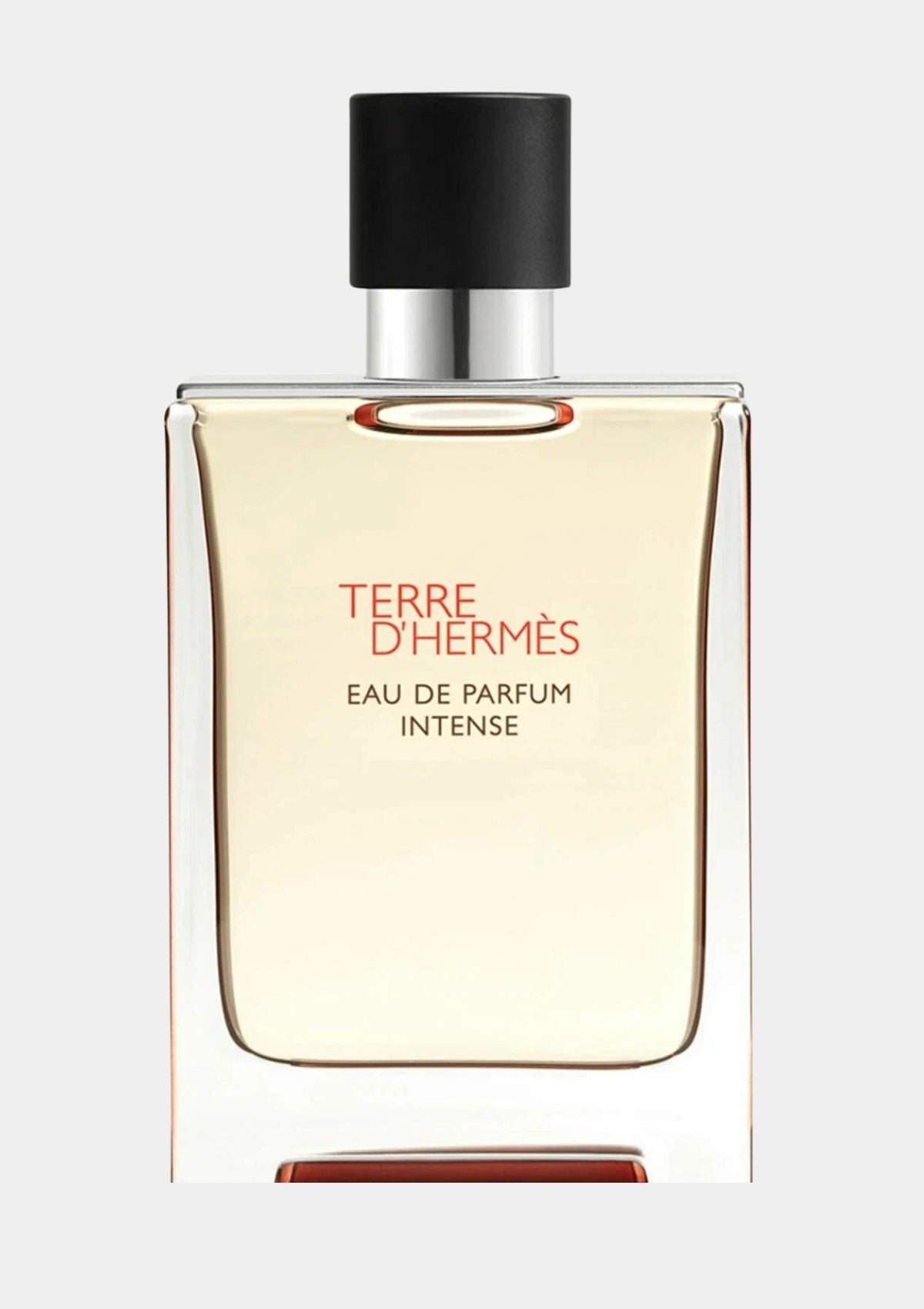 Hermes Terre D'Hermes Intense for Men EDP 100mL