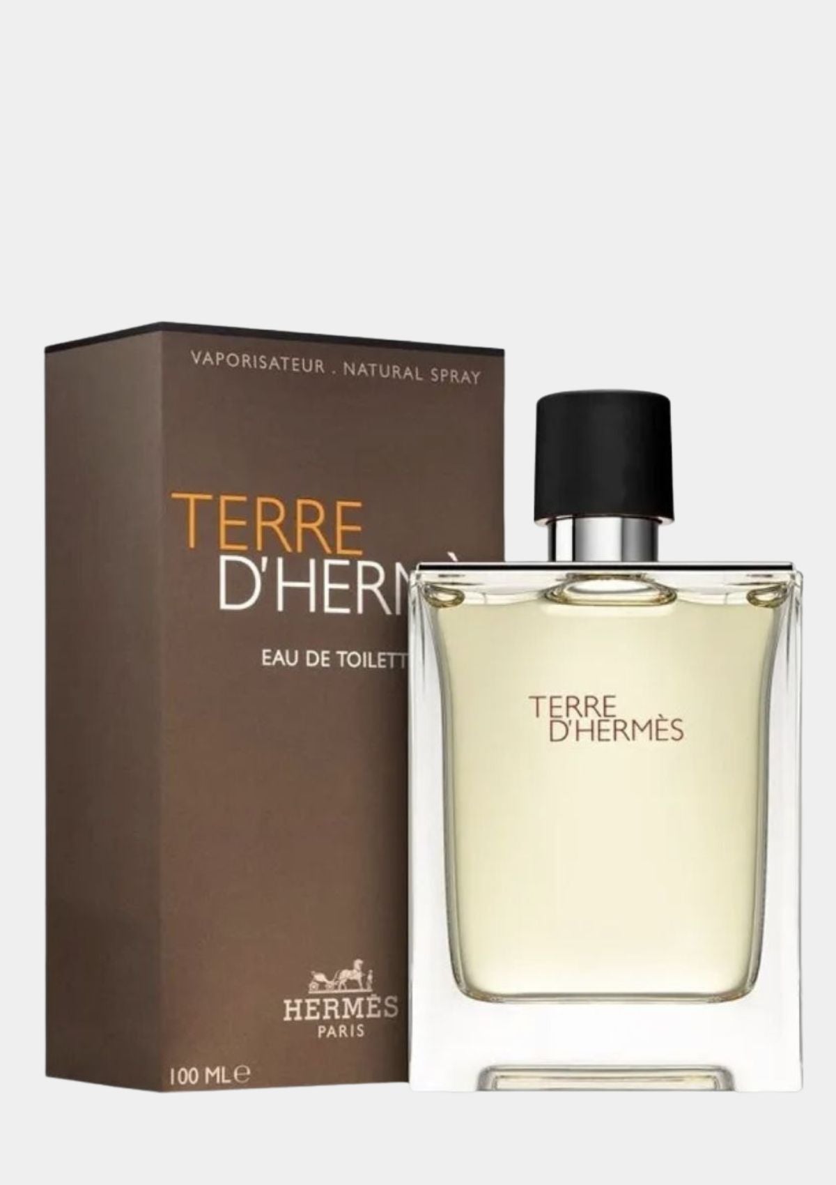 Hermes Terre D'Hermes Intense for Men EDP 100mL