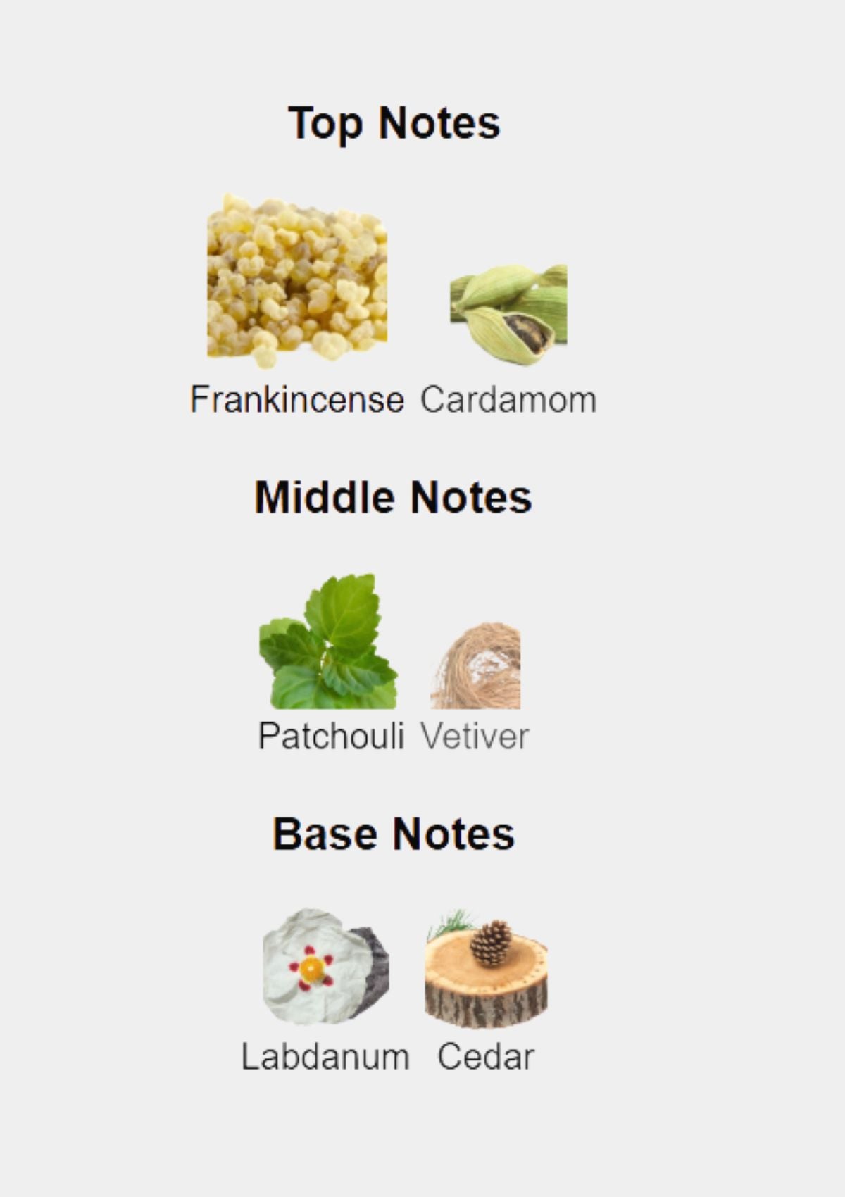 Hugo Boss Bottled Elixir for Men EDP 100mL