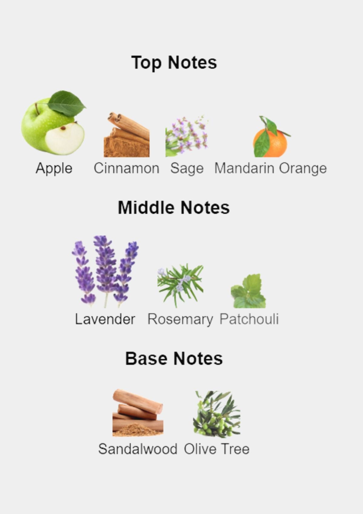 Hugo Boss Bottled Infinite for Men EDP 100mL