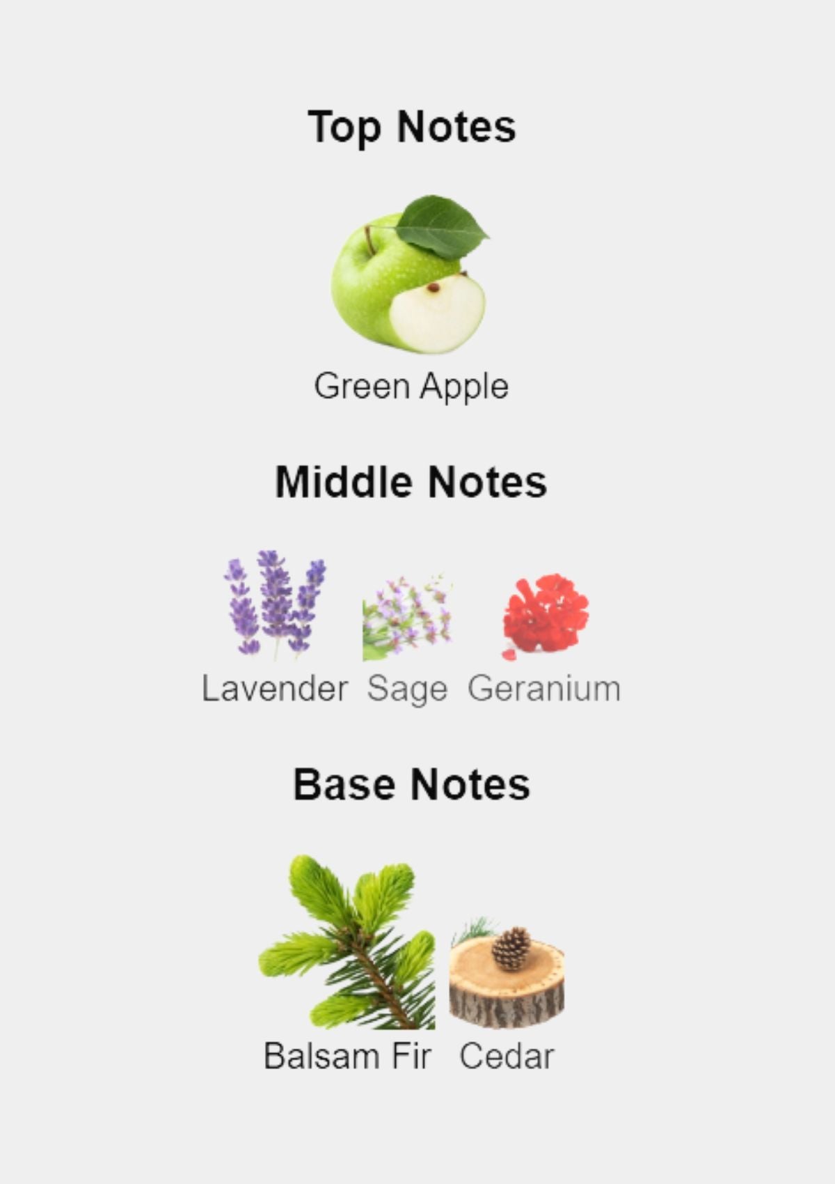 Hugo Boss Green Extreme for Men EDP 75mL