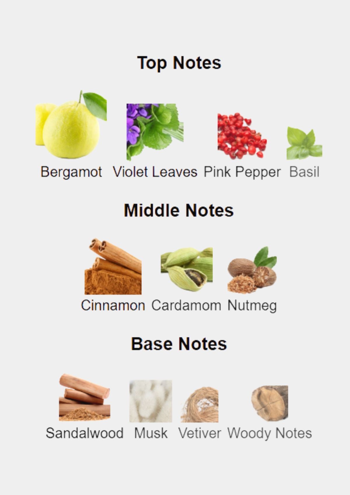 Hugo Boss In Motion for Men EDT 100mL