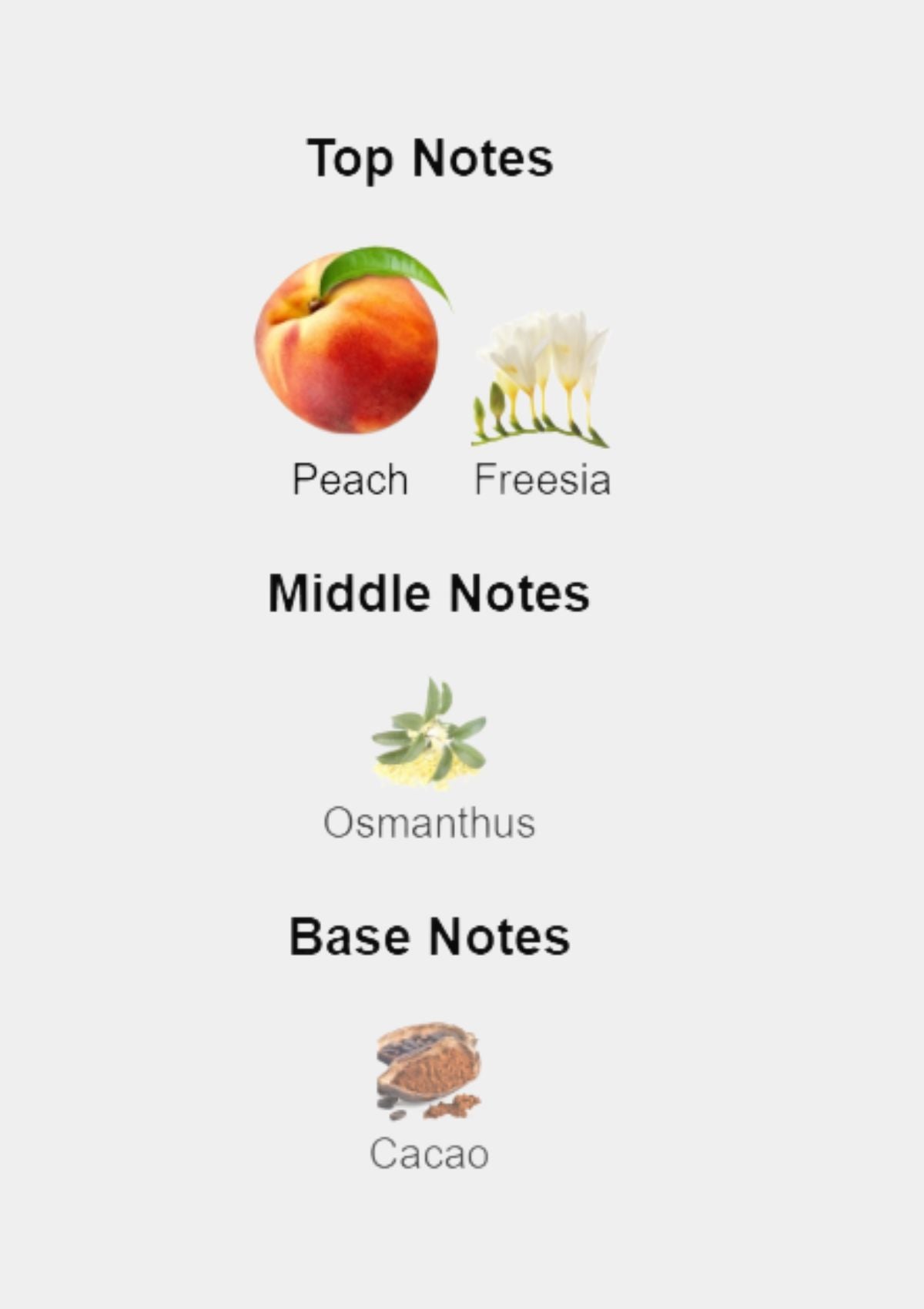 Hugo Boss The Scent for Women EDP 100mL