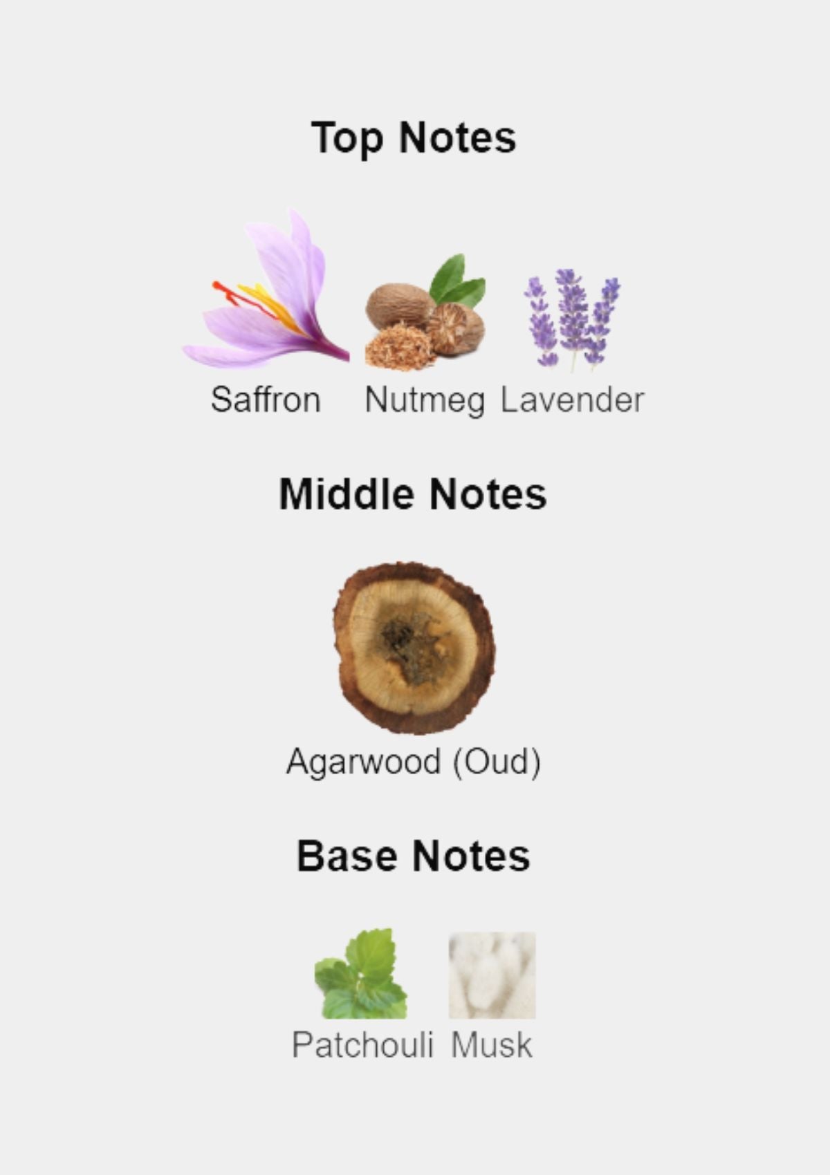 Initio Oud for Greatness for Unisex EDP 90mL