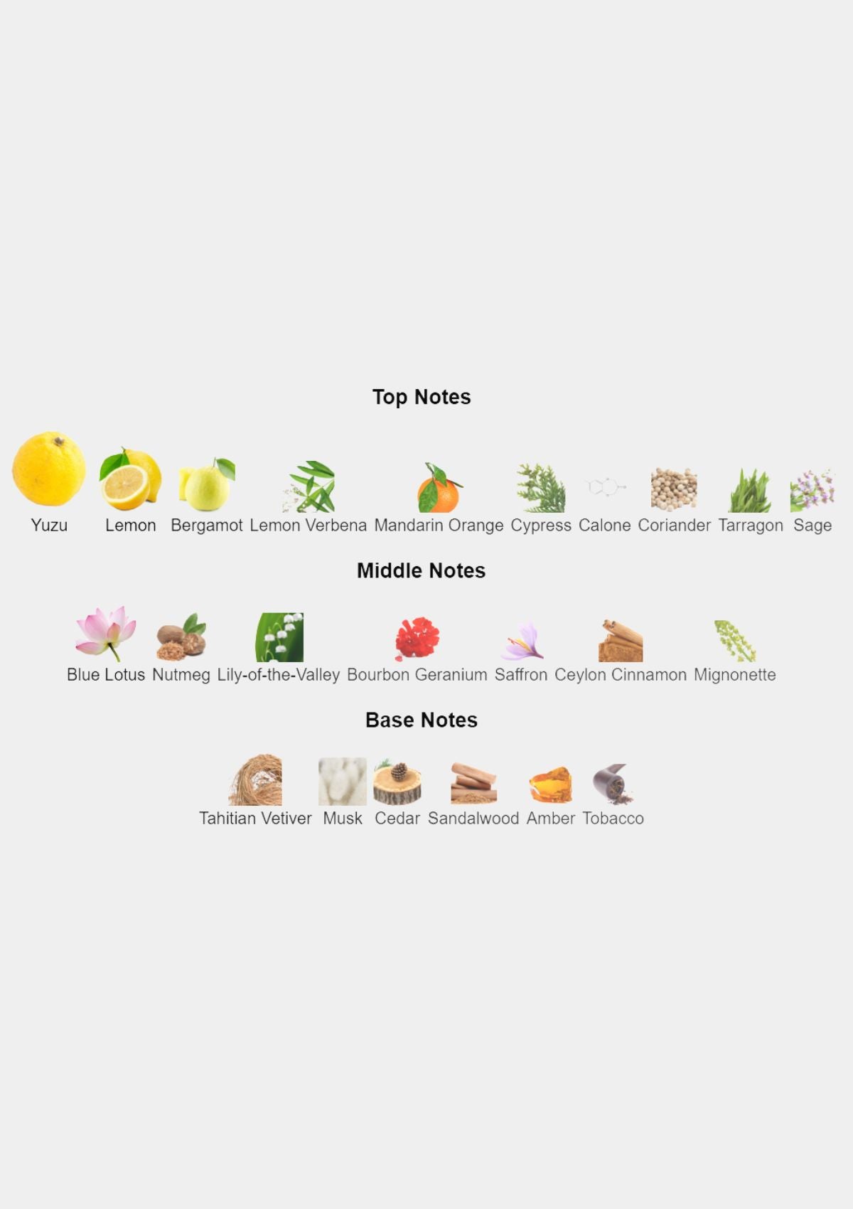 Issey Miyake L'Eau D'Issey Pour Homme for Men EDT 125mL