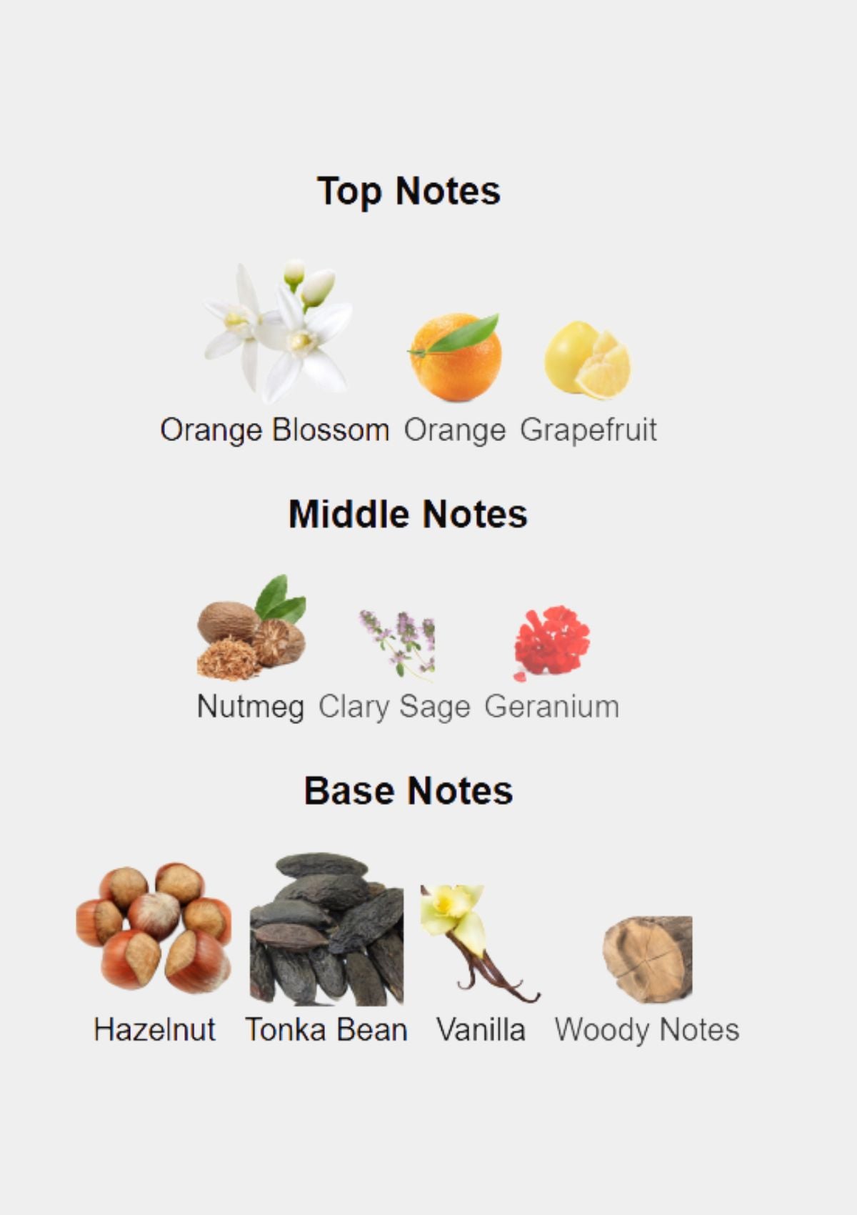 Jacques Bogart Silver Scent Deep for Men EDT 100mL