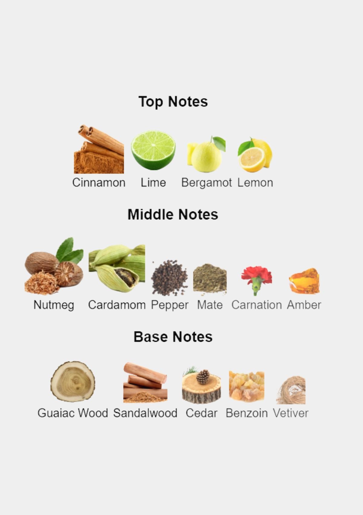 Kenzo Jungle Pour Homme for Men EDT 100mL