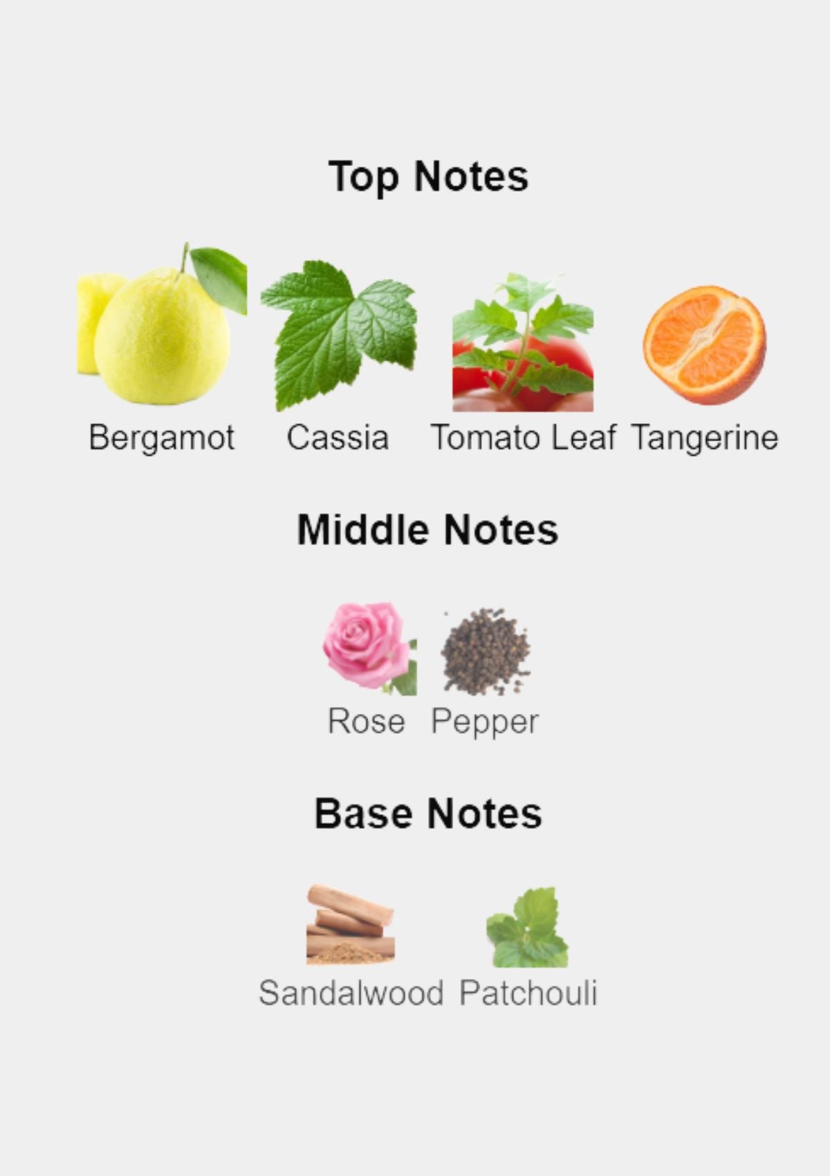 Lacoste Essential for Men EDT 125mL