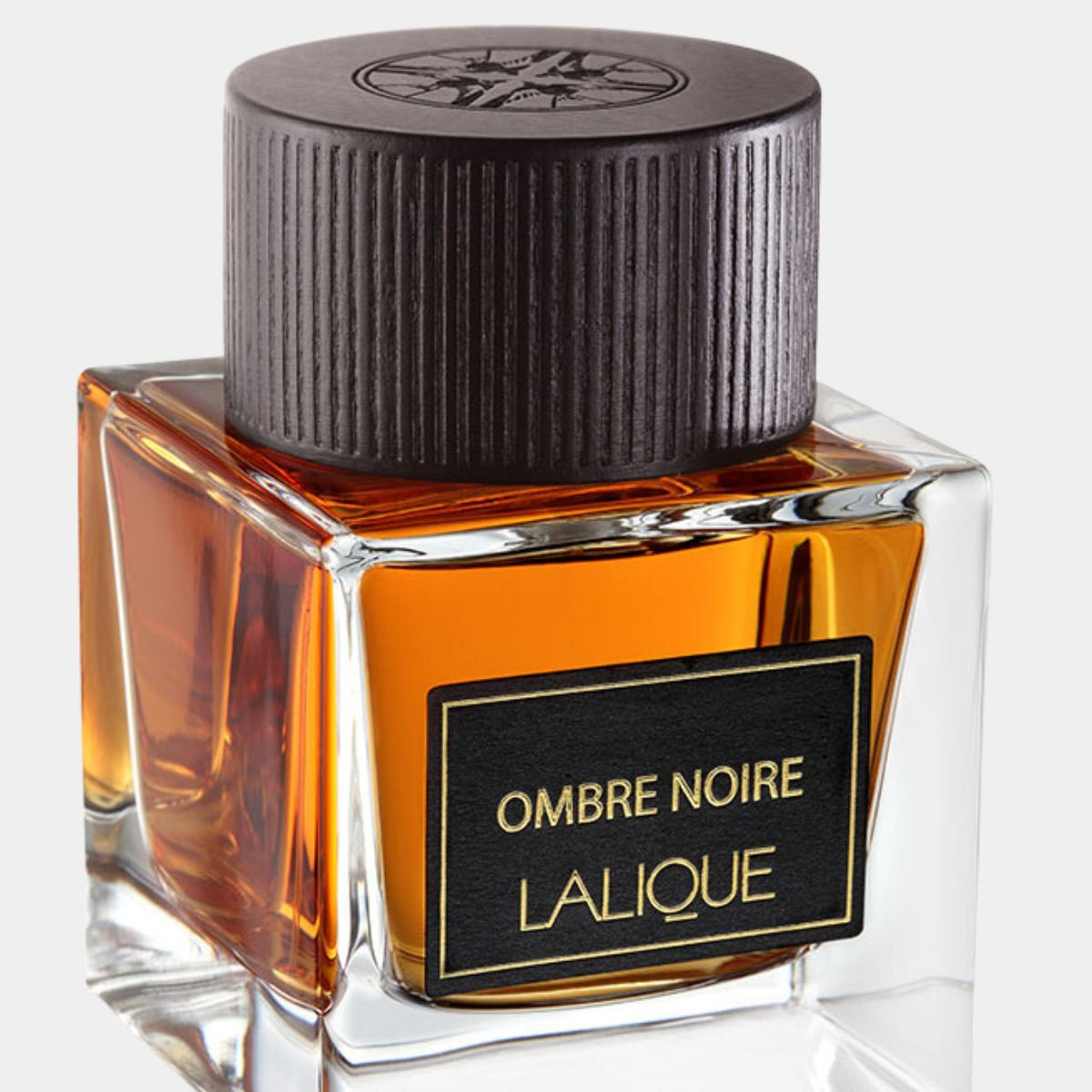 Lalique Ombre Noire for Men EDP 100mL | WholesaleKW