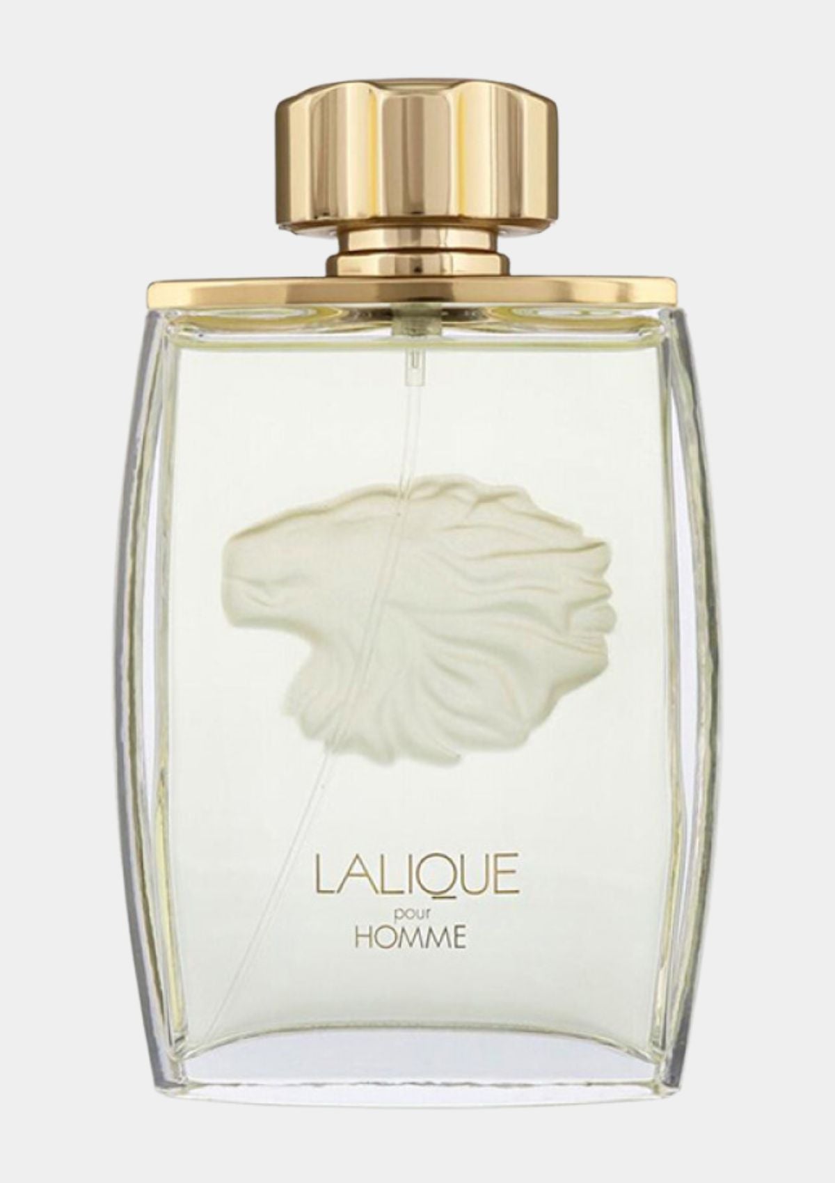 Lalique Pour Homme Lion for Men EDP 125mL