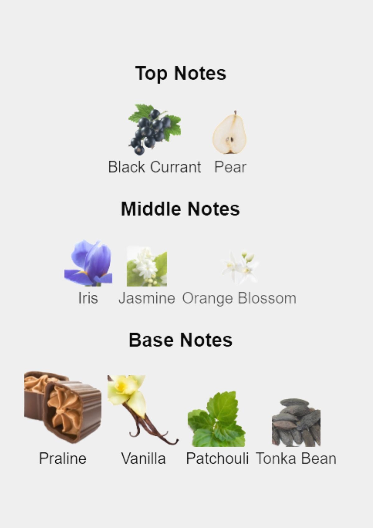 Lancome La Vie Est Belle for Women EDP 75mL