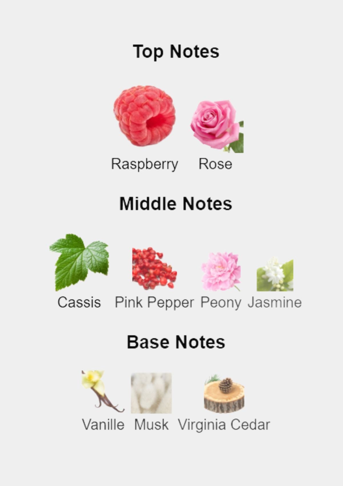 Lancome Tresor Midnight Rose for Women EDP 75mL