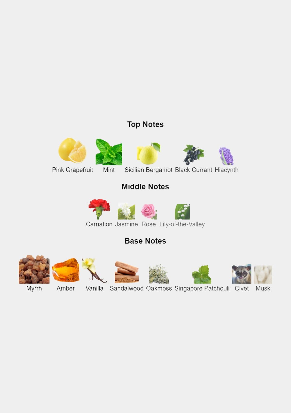 Laura Biagiotti Roman for Women EDT 100mL