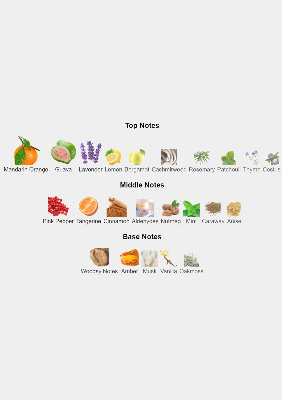 Loewe Solo Loewe Esencial for Men EDT 100mL