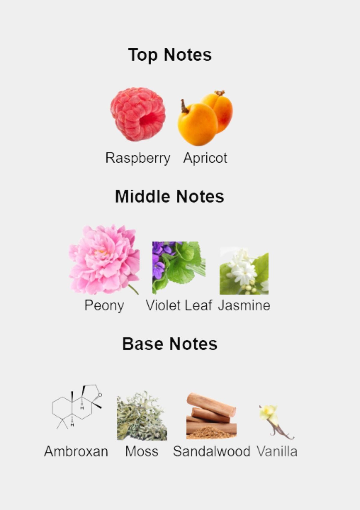 MCM for Unisex EDP 75mL