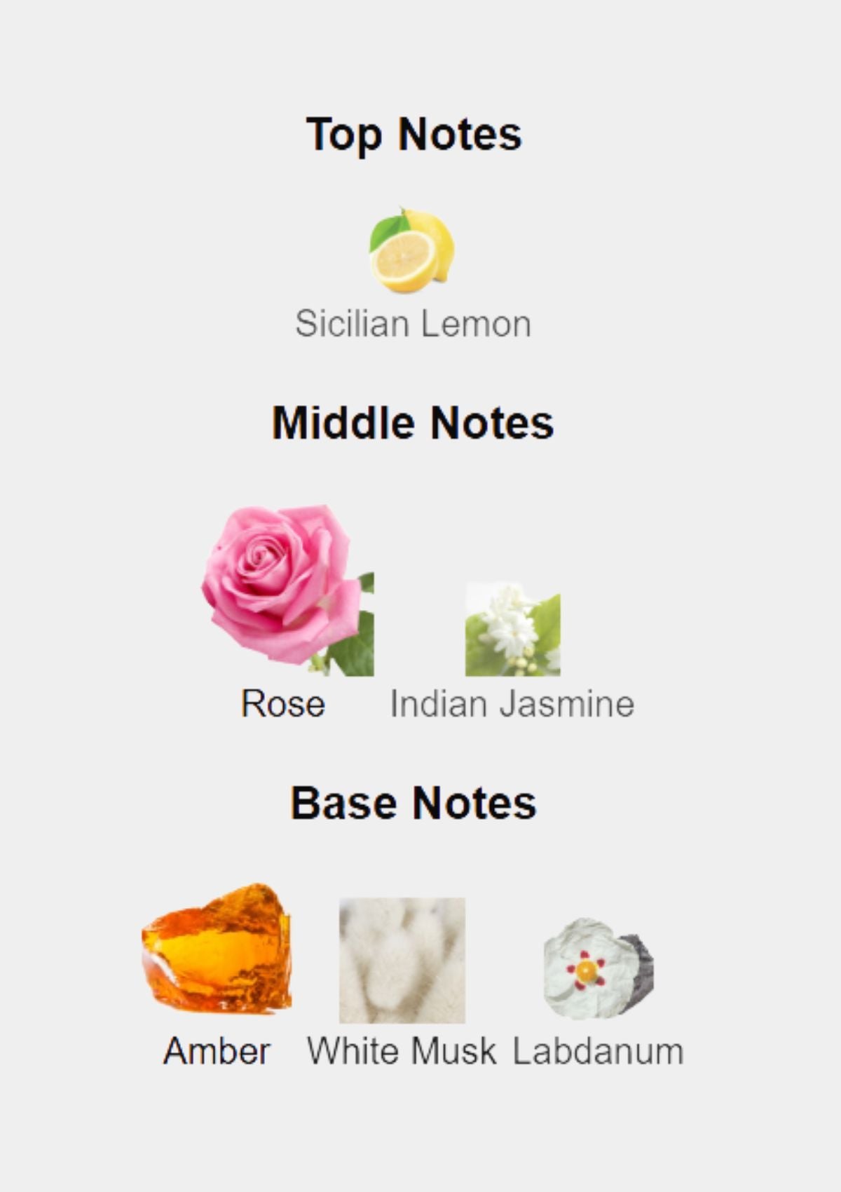 Mancera Amber & Roses for Unisex EDP 120mL