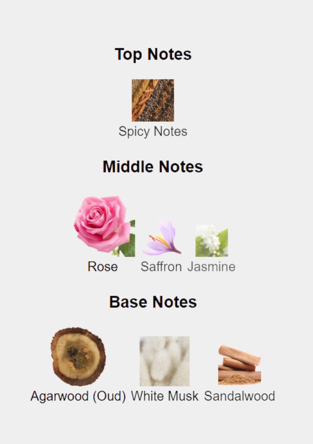 Mancera Rose Aoud & Musc for Unisex EDP 120mL