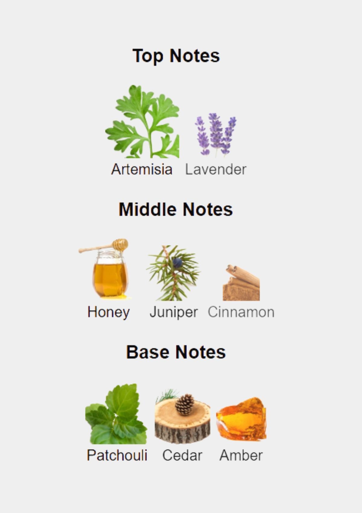 Marbert Man Classic Sport for Men EDT 125mL