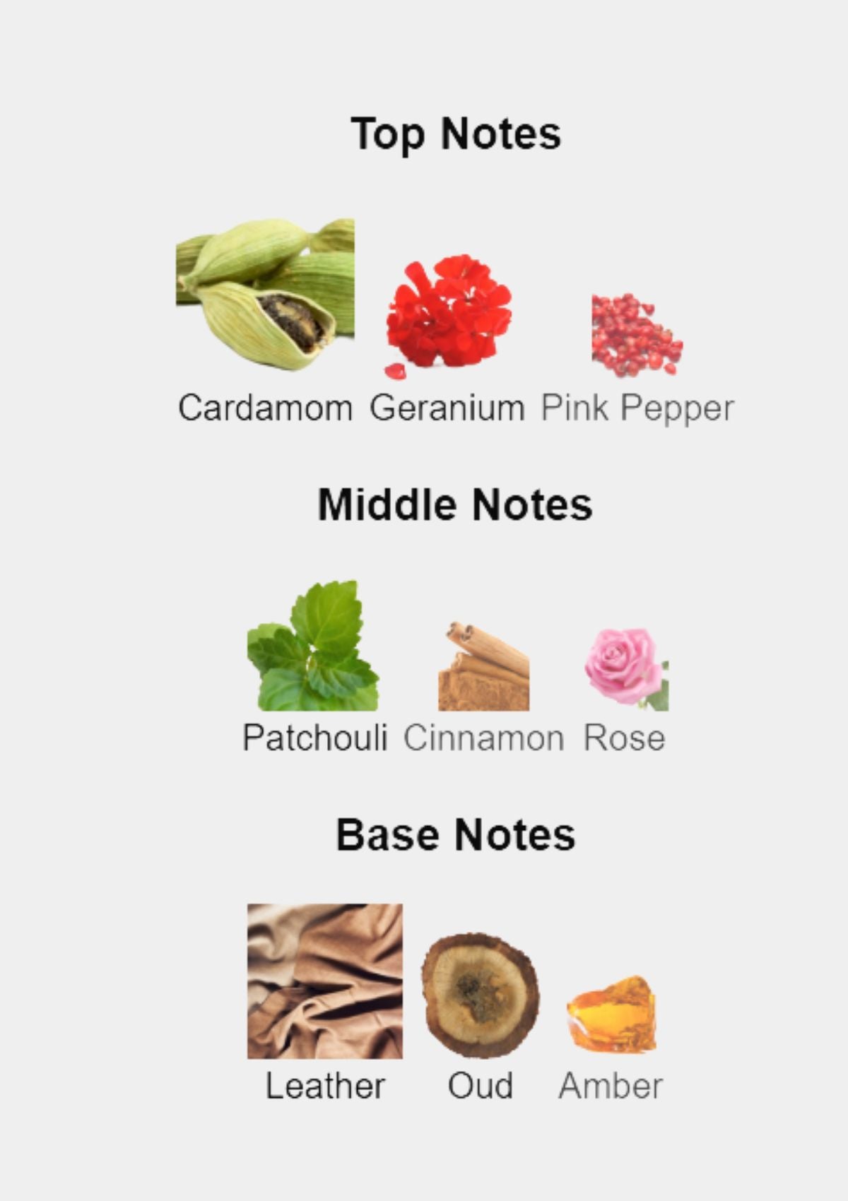 Memo African Leather for Unisex EDP 75mL