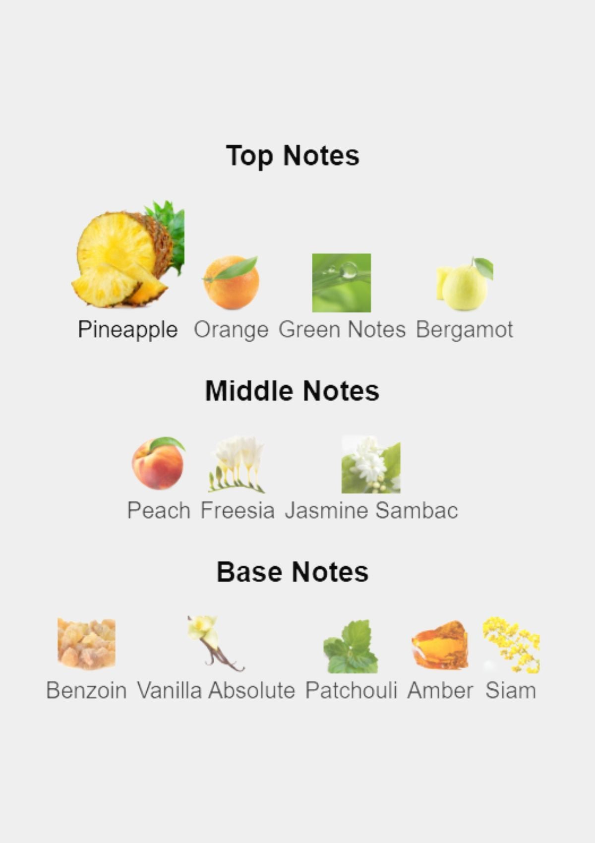 Memo Tamarindo for Unisex EDP 75mL