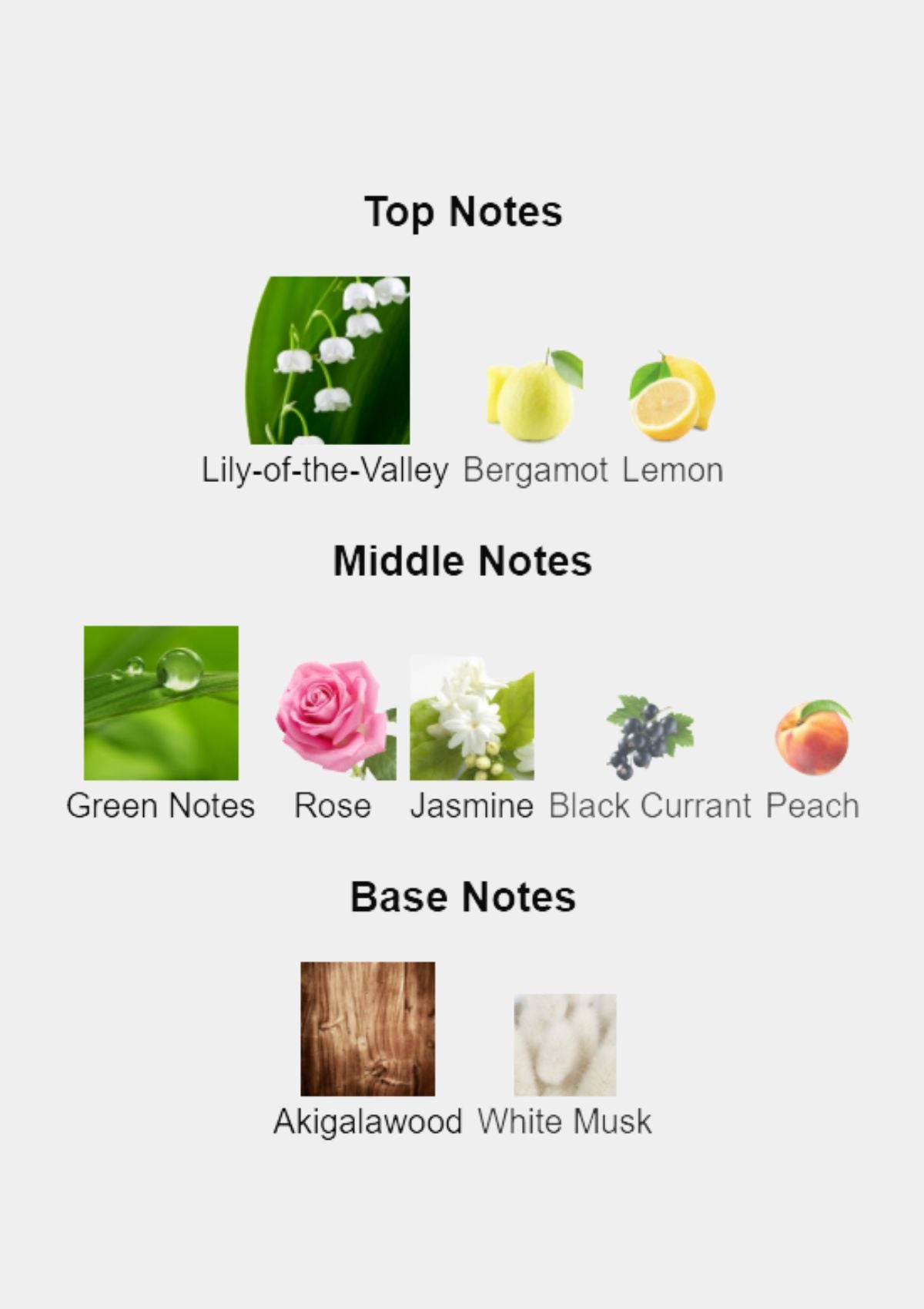 Miu Miu for Women EDP 100mL