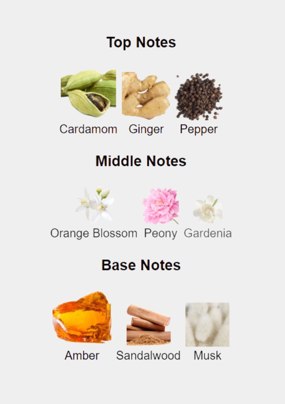 Morena Noir for Unisex EDT 100mL