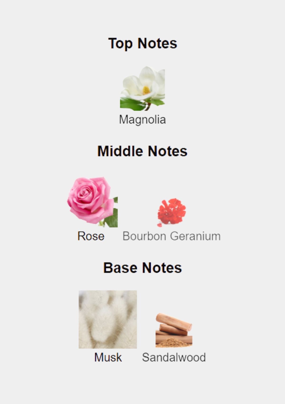 Narciso Rodriguez All Of Me for Women EDP 90mL