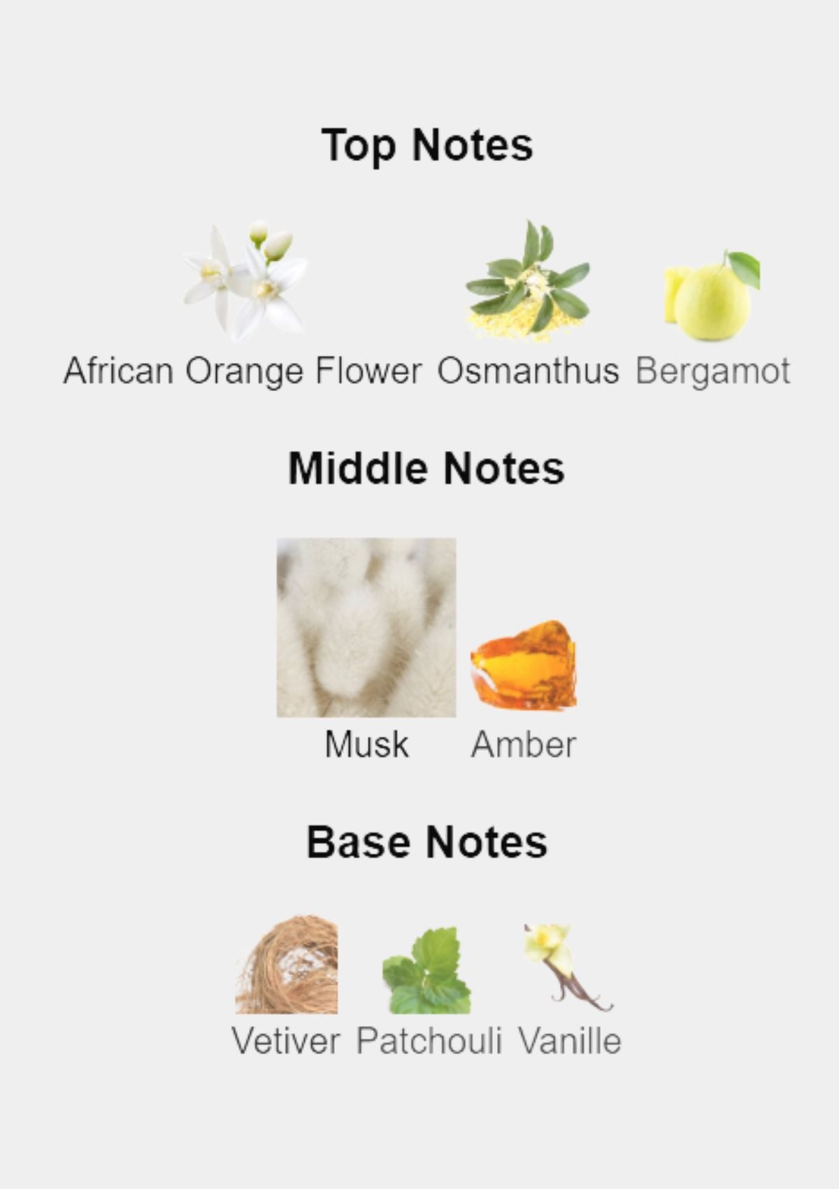 Narciso Rodriguez for Her EDT 100mL